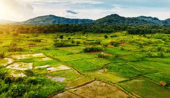 Malawi's New Imports Ban: A Diplomatic Crisis or a Catalyst for Greater Economic Independence?