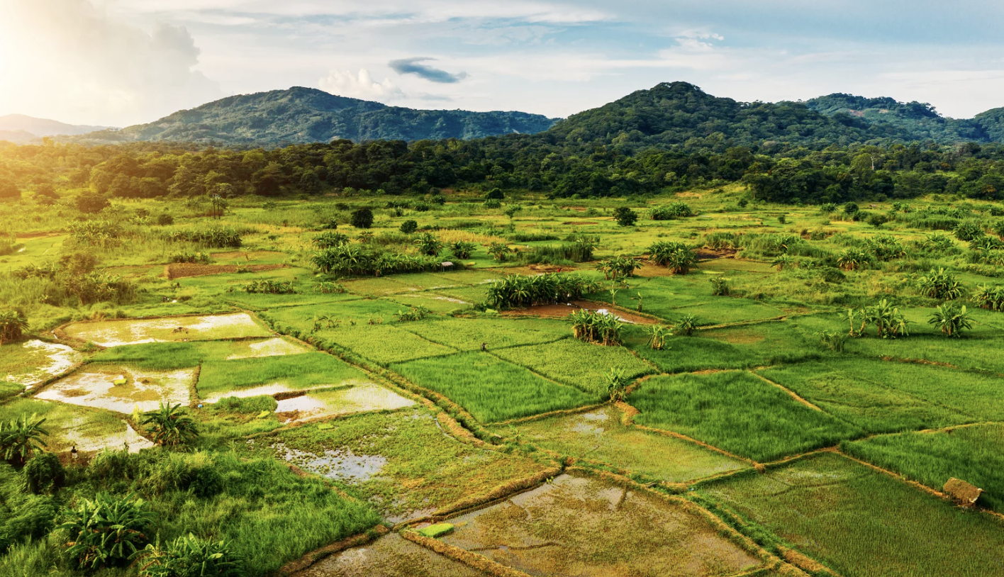 Malawi's New Imports Ban: A Diplomatic Crisis or a Catalyst for Greater Economic Independence?